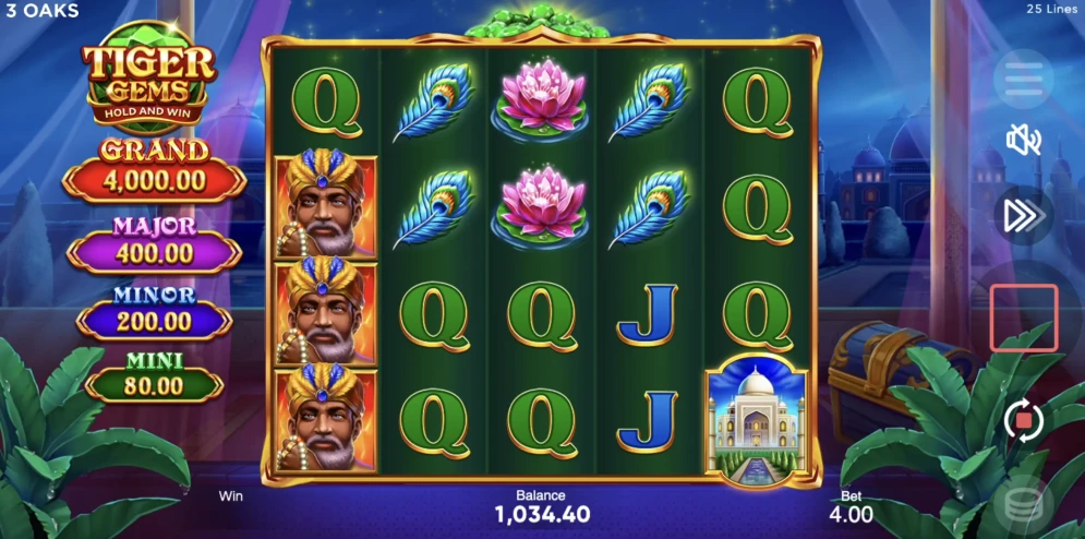 Tiger Gems Slot